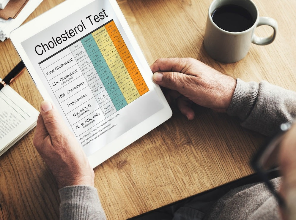 Blood cholesterol report test healthcare