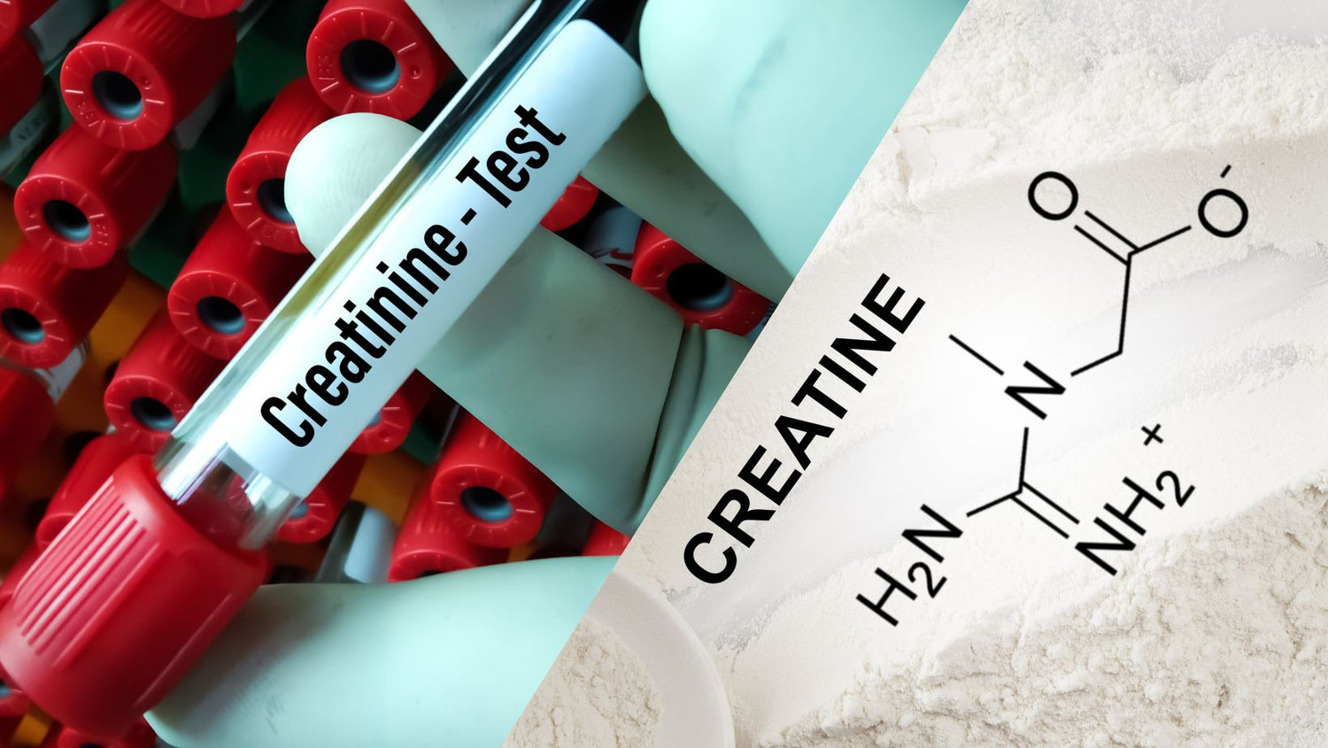 Creatinine and Creatine side by side