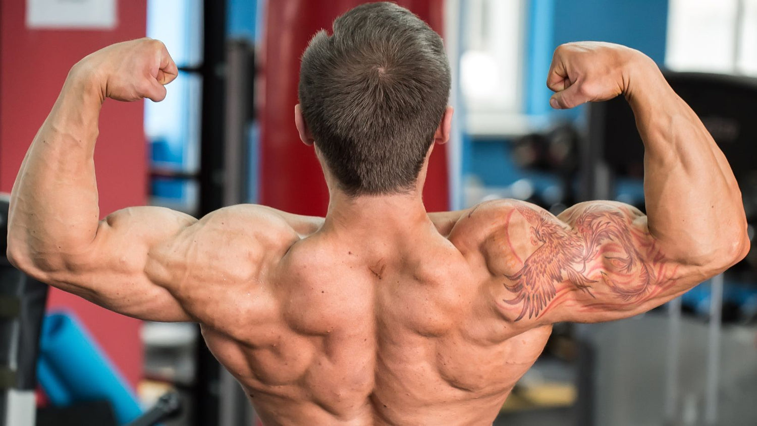 Man Showing His Back Double Biceps